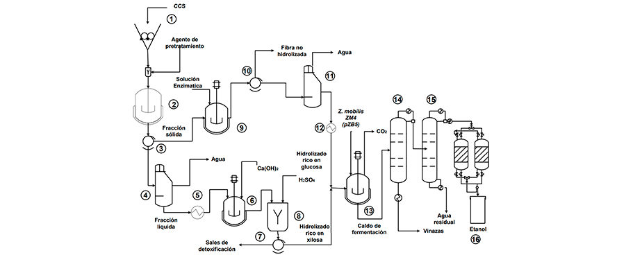 Diagrama del proceso de obtención de etanol a partir de CCS usando DA o LHW como pretratamiento.